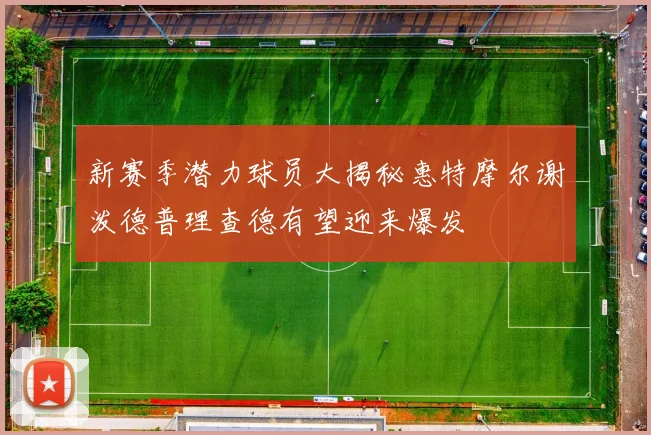 新赛季潜力球员大揭秘惠特摩尔谢泼德普理查德有望迎来爆发